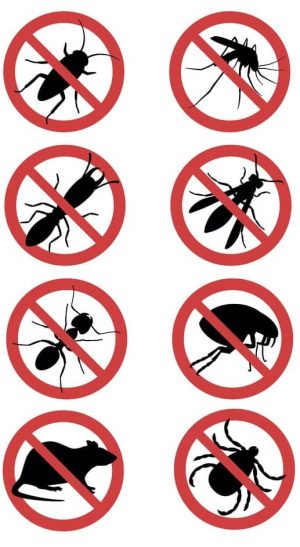 pest-control pest-control