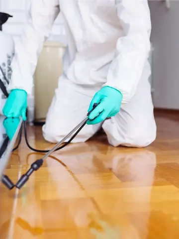 professional cockroach extermination services Mississauga